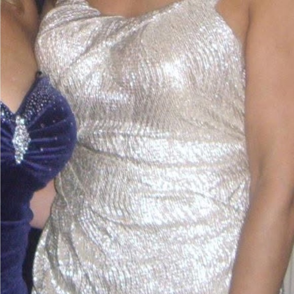 Elegant Silver Evening Gown - Picture 5 of 5